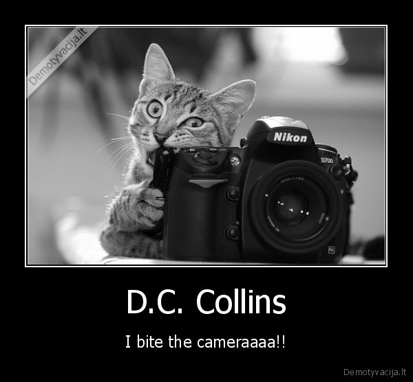 D.C. Collins