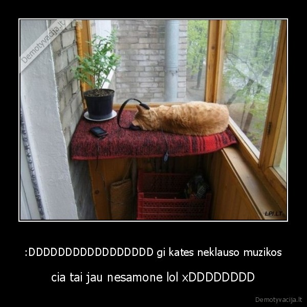 nuzude, lol