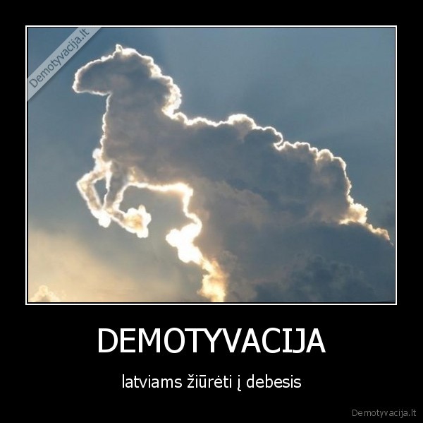 zirga, galva