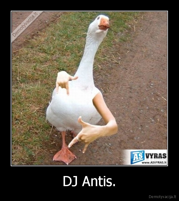 antis,repuoja,d