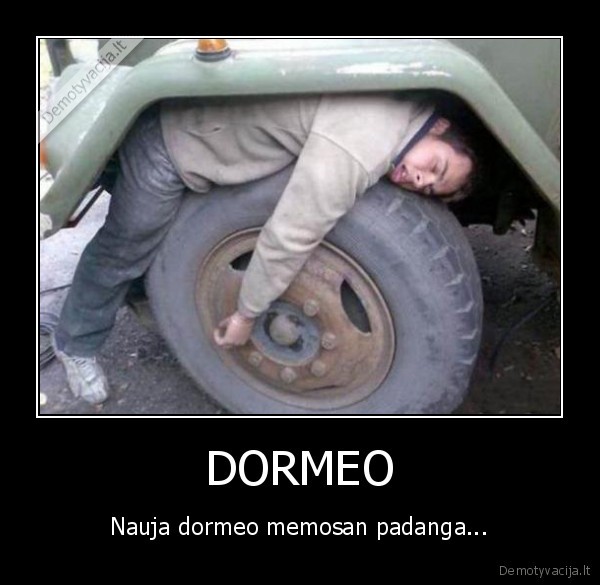 dormeo