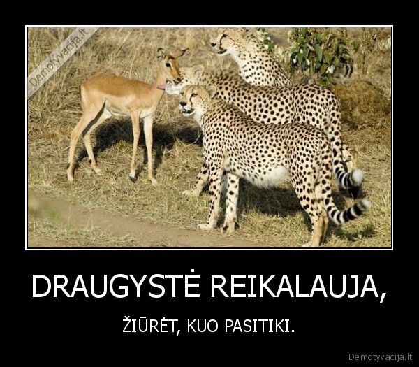 DRAUGYSTĖ REIKALAUJA,