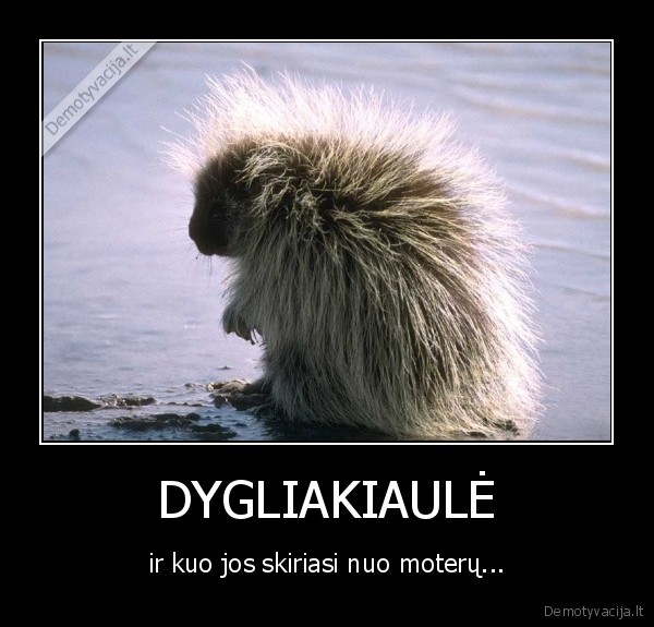 DYGLIAKIAULĖ