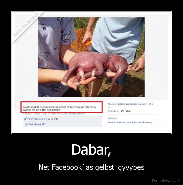 facebook,visagali,laikink, kad, nemirtu, drambliukas