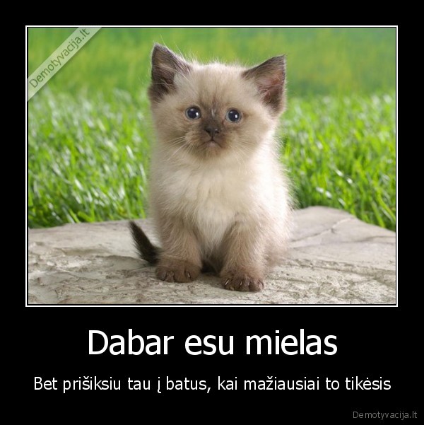 Dabar esu mielas