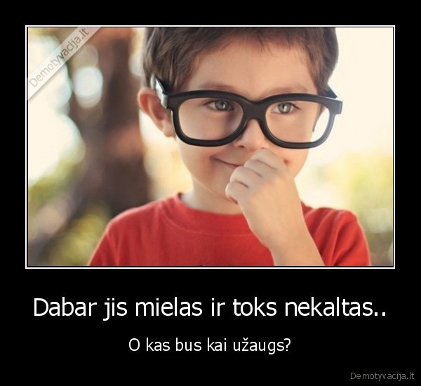 bus, lochas, kaip, ir, visi, jie, kiaules
