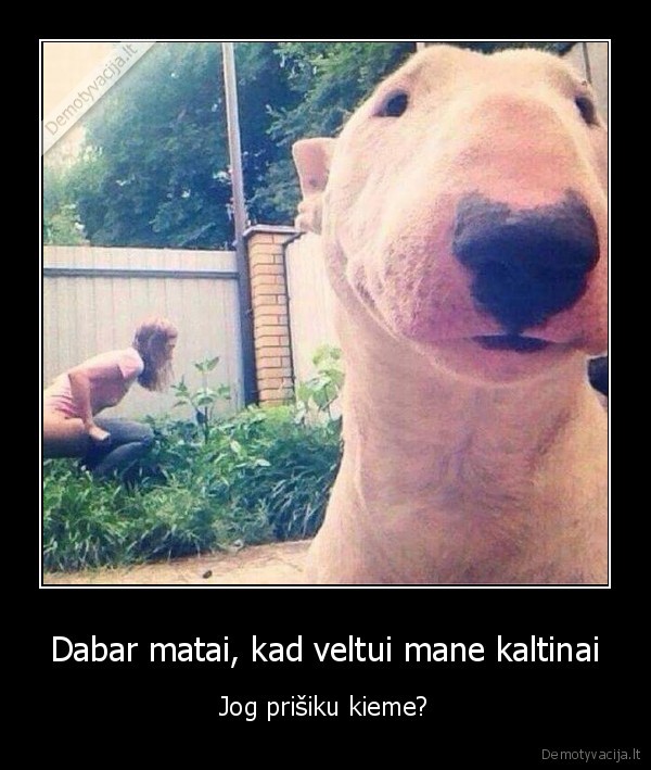 suo,mergina, sika