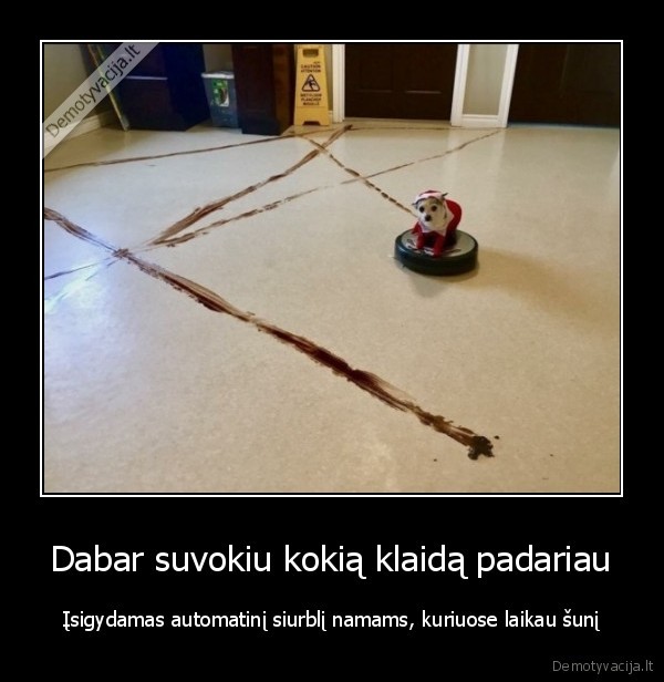 suo,sudas