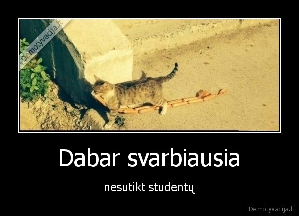 desreles,katinas,studentai