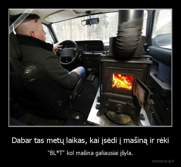 saltis,masina