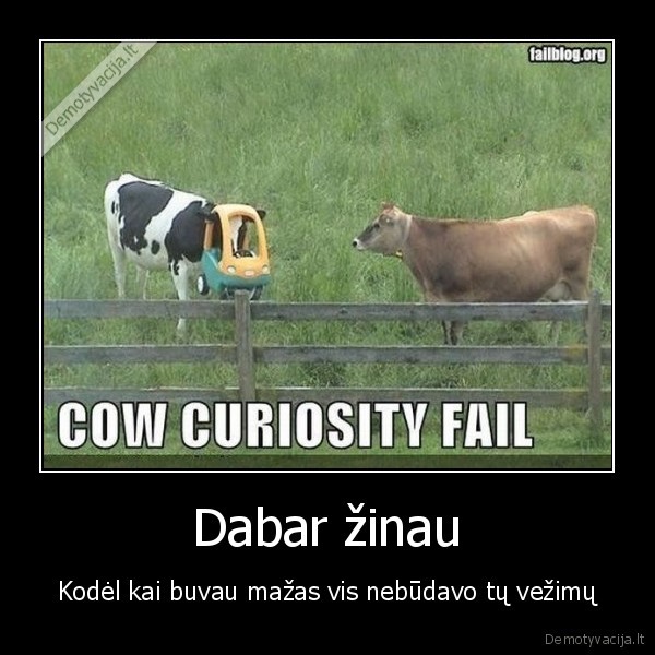 Dabar žinau