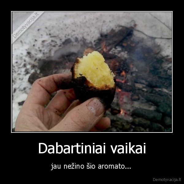 bulve,kepta,zarijos