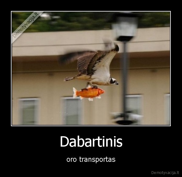 transportas,erelis
