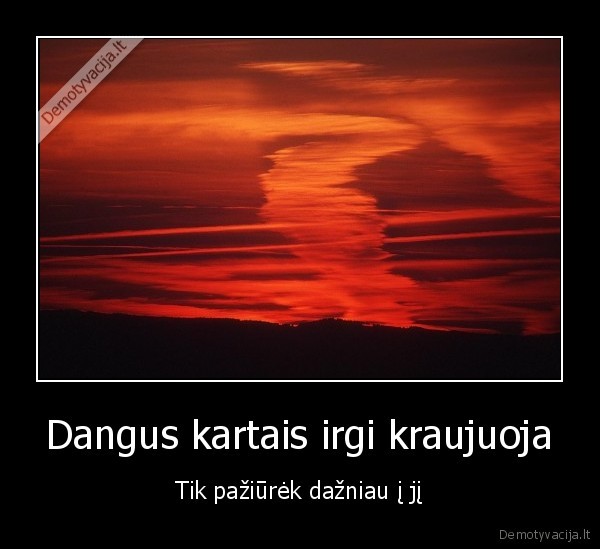 dangus