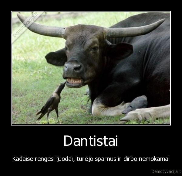 Dantistai
