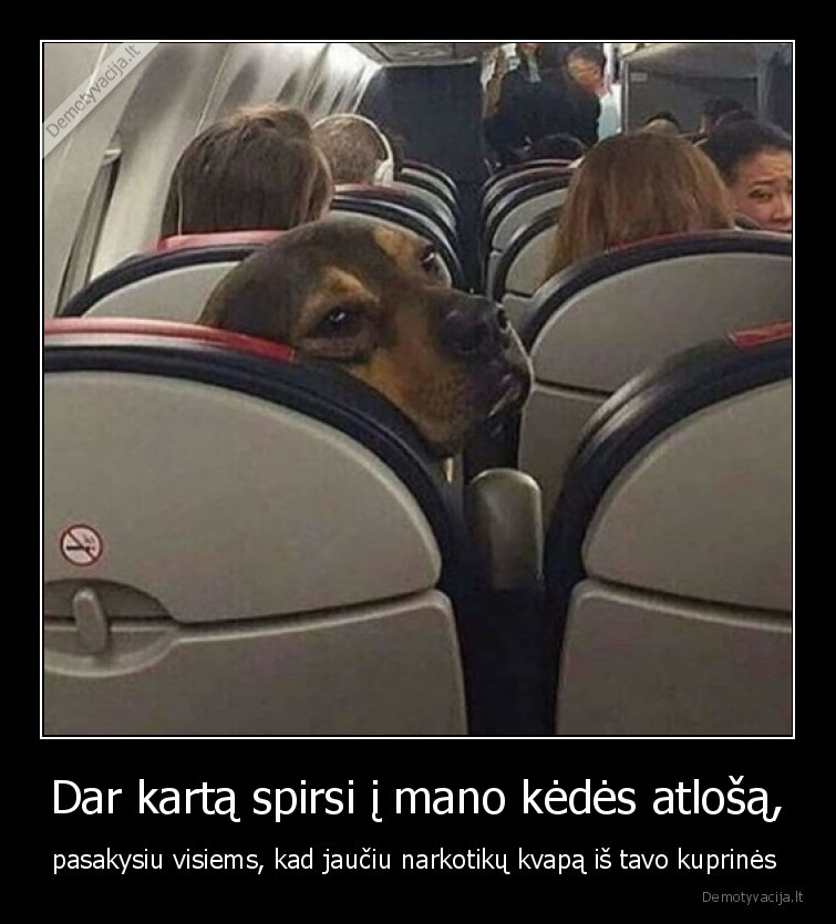 narkotikai,suo,lektuvas,skrydis
