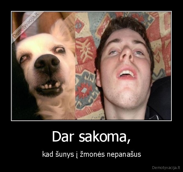Dar sakoma,
