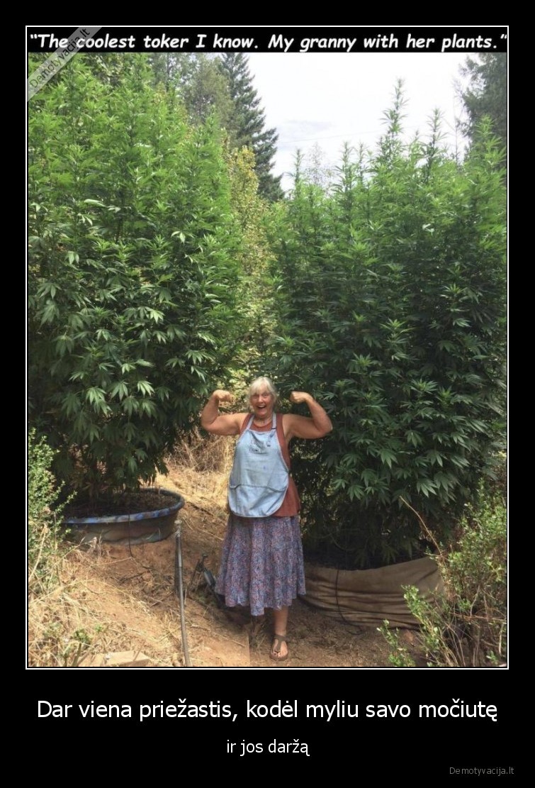 mociute,darzas,420