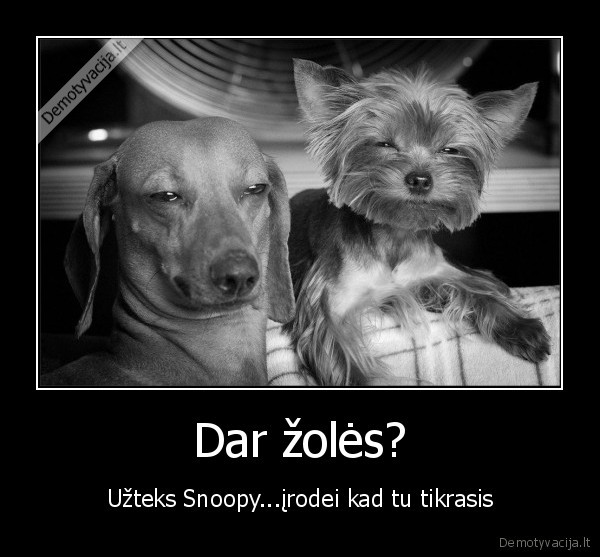 Dar žolės?