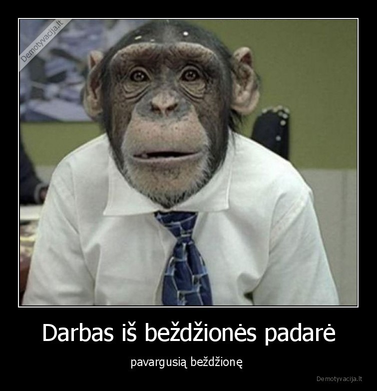 bezdzione,darbas,pavargusi