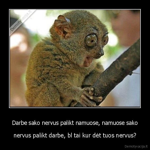 nervai,darbas,namai
