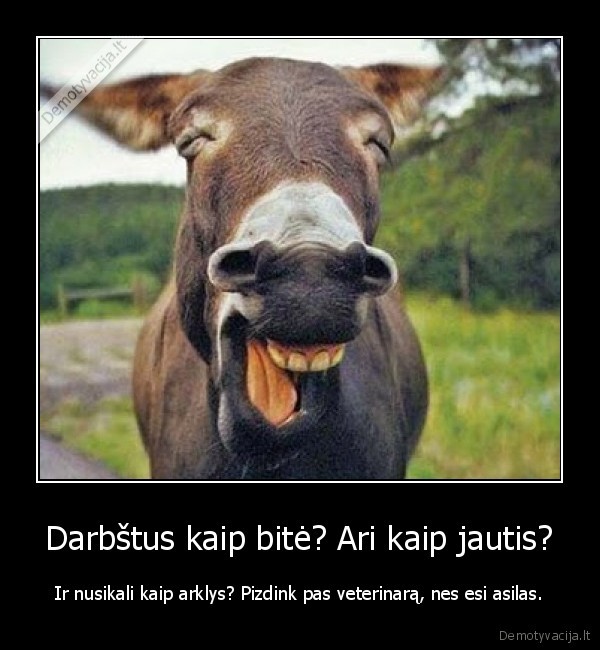 Darbštus kaip bitė? Ari kaip jautis?