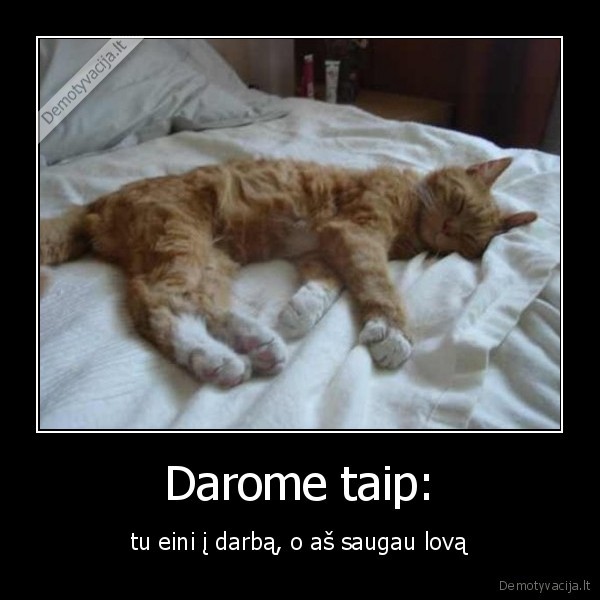 Darome taip: