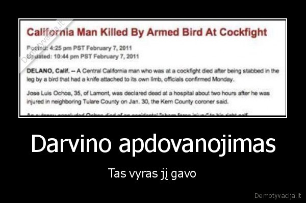 mirtis,kvailumas