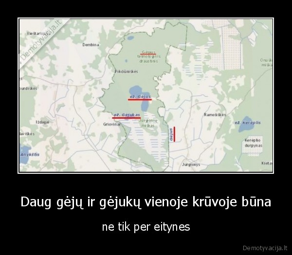 Daug gėjų ir gėjukų vienoje krūvoje būna