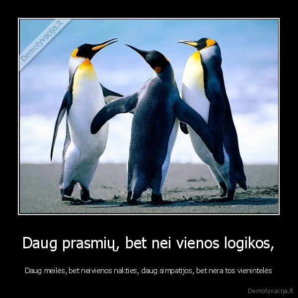 Daug prasmių, bet nei vienos logikos,