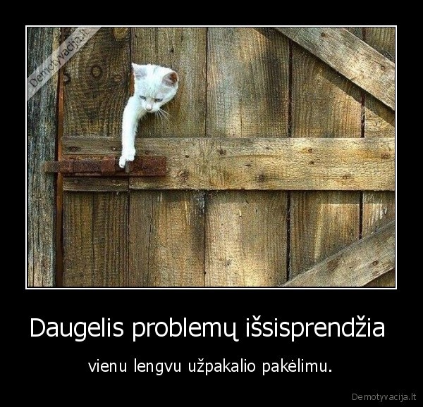 problema,sprendimas