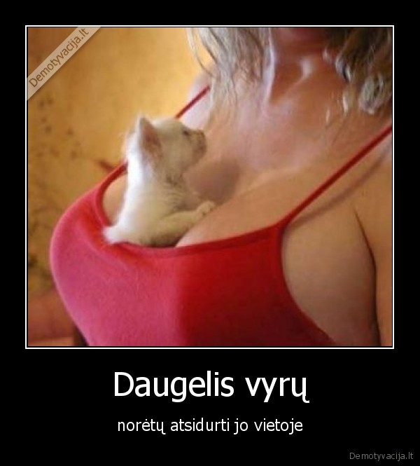 Daugelis vyrų