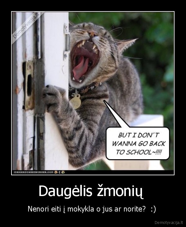 Daugėlis žmonių 