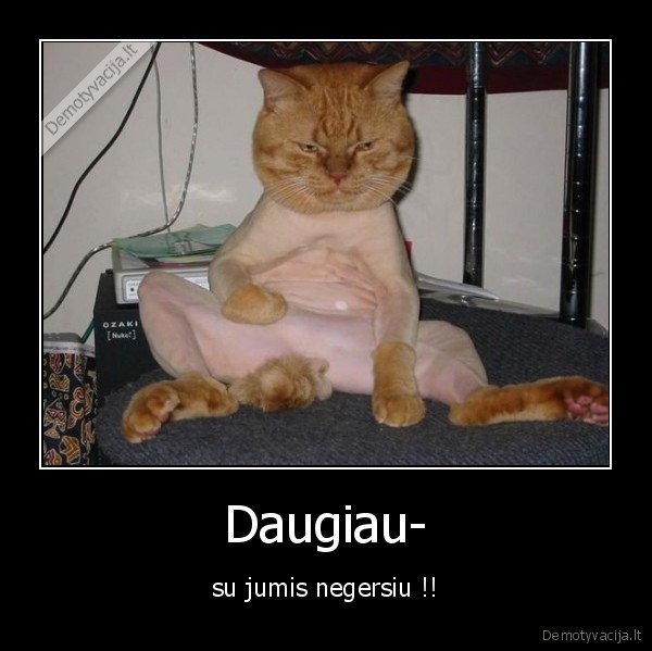 Daugiau-