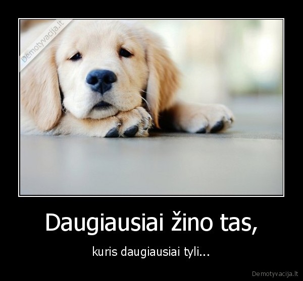 Daugiausiai žino tas,