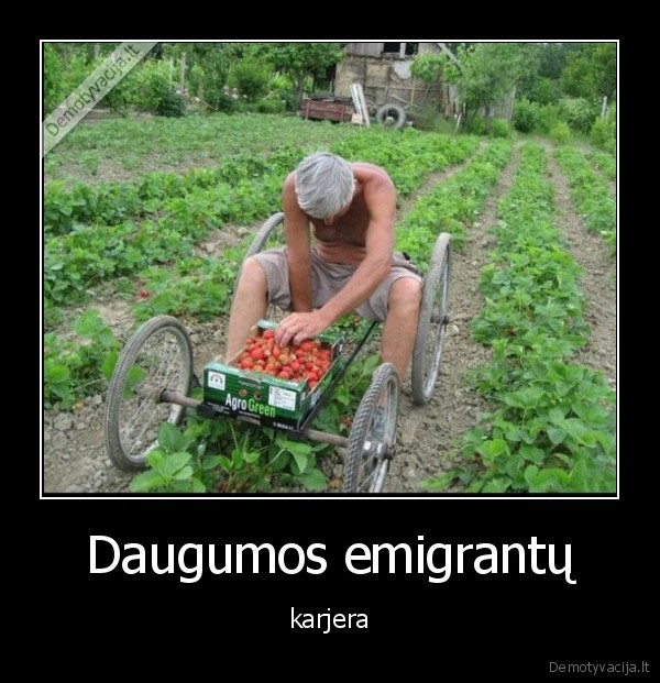 braskes,rinkti,emigrantai