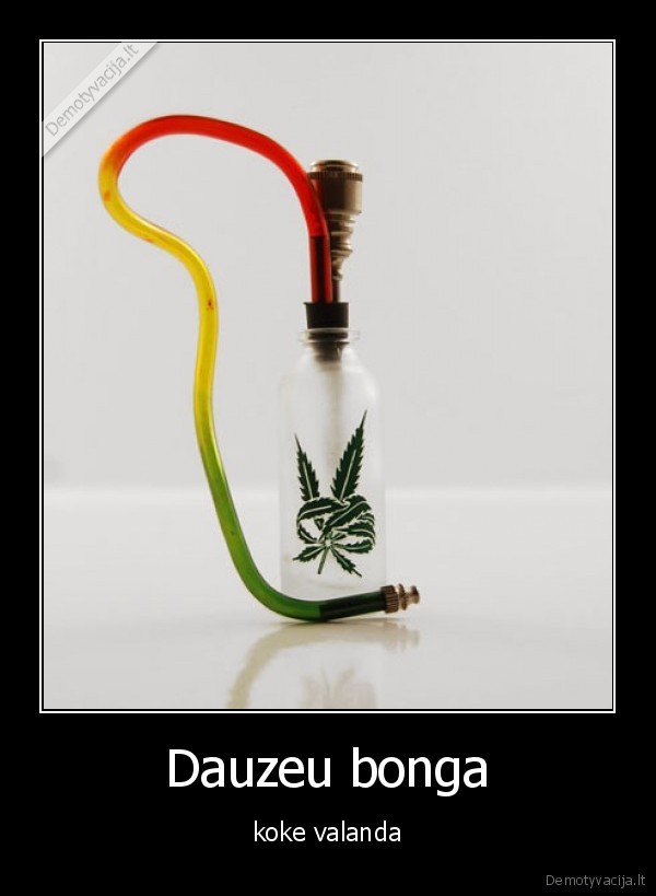 bongas