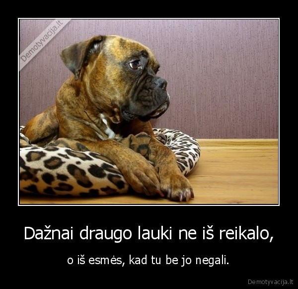 Dažnai draugo lauki ne iš reikalo,
