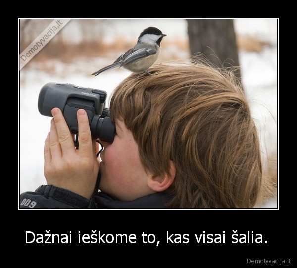 Dažnai ieškome to, kas visai šalia. 
