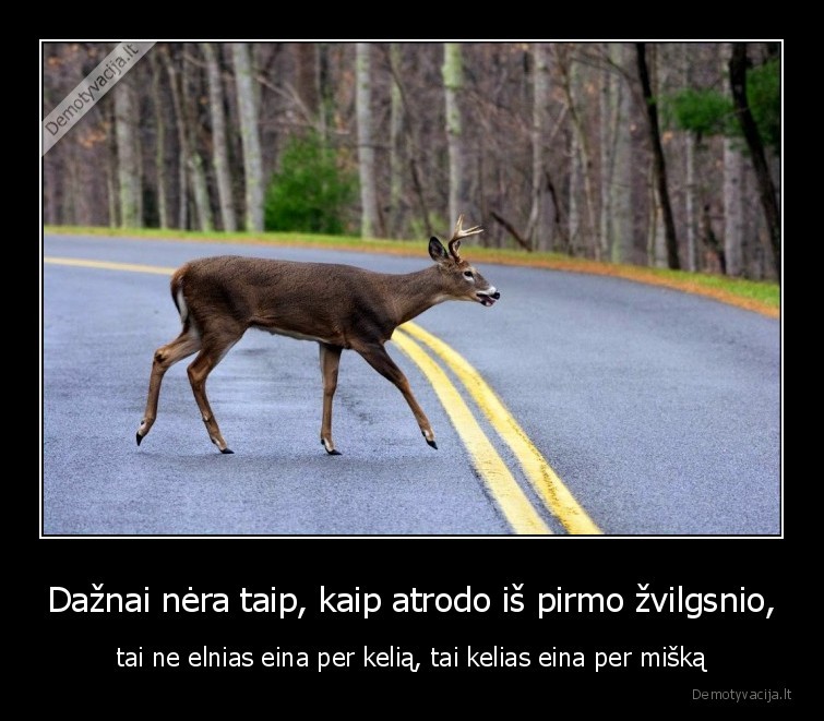 kelias,miskas,mindfuck,ka