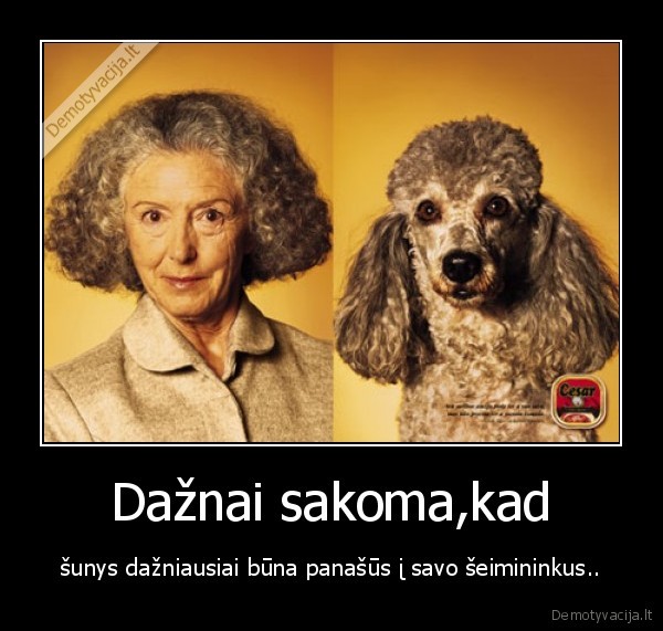 Dažnai sakoma,kad