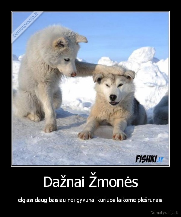 ziaurumas