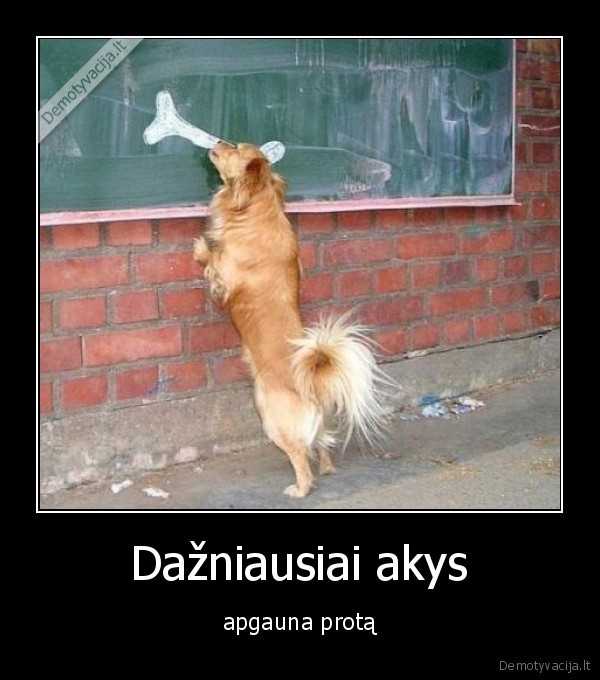 Dažniausiai akys