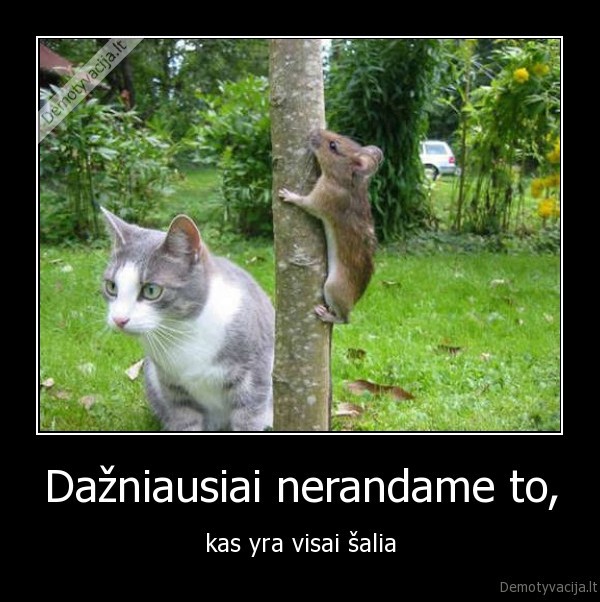gyvenimas