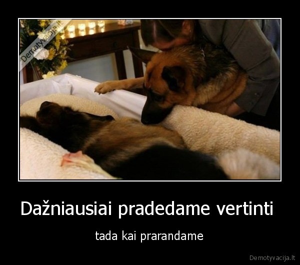 draugyste, netektis, draugai, tikras, draugas, gyvenimas