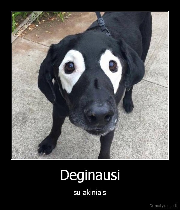 degintis,akiniai