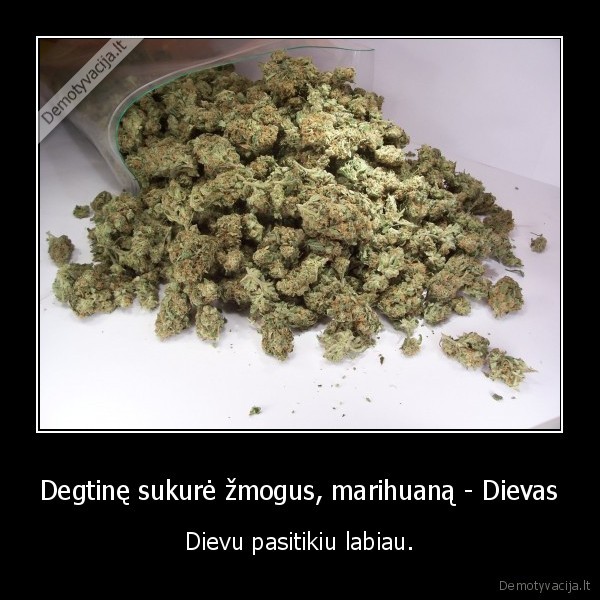 Degtinę sukurė žmogus, marihuaną - Dievas