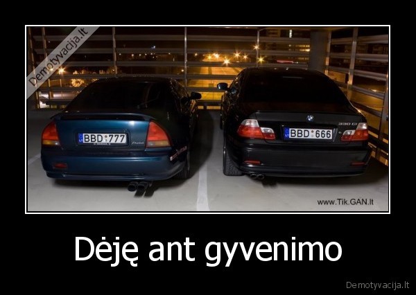 gyvenimas,bbd