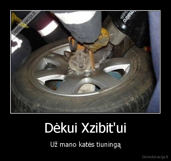 Dėkui Xzibit'ui