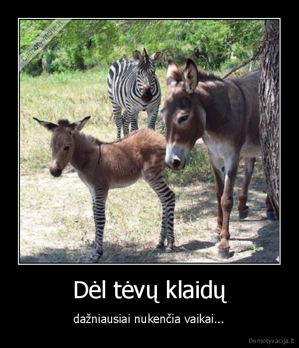 Dėl tėvų klaidų